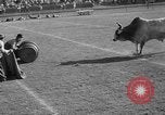 Image of rodeo Los Angeles California USA, 1951, second 60 stock footage video 65675071434
