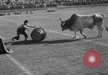 Image of rodeo Los Angeles California USA, 1951, second 62 stock footage video 65675071434