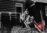 Standbild Jugendliche Holland Niederlande, 1955, aus Sekunde 6 historischem Filmmaterial Videoclip 65675071440