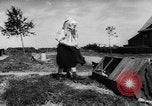 Standbild Jugendliche Holland Niederlande, 1955, aus Sekunde 17 historischem Filmmaterial Videoclip 65675071440