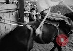 Standbild Rodeo Pendleton Oregon USA, 1955, aus Sekunde 18 historischem Filmmaterial Videoclip 65675071442
