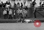 Standbild Rodeo Pendleton Oregon USA, 1955, aus Sekunde 48 historischem Filmmaterial Videoclip 65675071442