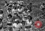 Immagine di Ragazze Port Arthur Texas USA, 1944, secondo 16 filmato di repertorio 65675071447