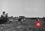 Immagine di Ragazze Port Arthur Texas USA, 1944, secondo 19 filmato di repertorio 65675071447