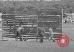 Image of stunt performers Virginia United States USA, 1950, second 58 stock footage video 65675071453