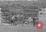 Image of stunt performers Virginia United States USA, 1950, second 61 stock footage video 65675071453