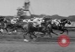 Image Belmont Stakes Elmont New York USA, 1950, de la seconde 19 séquences d'archives historiques vidéo 65675071455