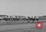 Image Belmont Stakes Elmont New York USA, 1950, de la seconde 21 séquences d'archives historiques vidéo 65675071455