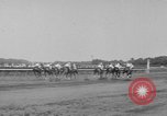 Image Belmont Stakes Elmont New York USA, 1950, de la seconde 22 séquences d'archives historiques vidéo 65675071455