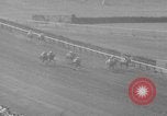 Image Belmont Stakes Elmont New York USA, 1950, de la seconde 36 séquences d'archives historiques vidéo 65675071455