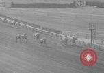 Image Belmont Stakes Elmont New York USA, 1950, de la seconde 37 séquences d'archives historiques vidéo 65675071455