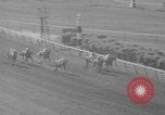 Image Belmont Stakes Elmont New York USA, 1950, de la seconde 39 séquences d'archives historiques vidéo 65675071455
