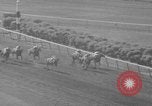 Image Belmont Stakes Elmont New York USA, 1950, de la seconde 40 séquences d'archives historiques vidéo 65675071455