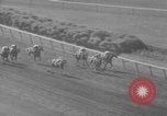 Image Belmont Stakes Elmont New York USA, 1950, de la seconde 41 séquences d'archives historiques vidéo 65675071455