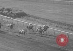 Image Belmont Stakes Elmont New York USA, 1950, de la seconde 42 séquences d'archives historiques vidéo 65675071455