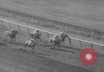 Image Belmont Stakes Elmont New York USA, 1950, de la seconde 43 séquences d'archives historiques vidéo 65675071455