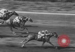 Image Belmont Stakes Elmont New York USA, 1950, de la seconde 51 séquences d'archives historiques vidéo 65675071455