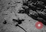 Image of massacre Algeria, 1957, second 19 stock footage video 65675071459
