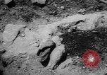 Image of massacre Algeria, 1957, second 20 stock footage video 65675071459