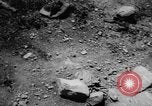 Image of massacre Algeria, 1957, second 22 stock footage video 65675071459