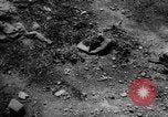 Image of massacre Algeria, 1957, second 23 stock footage video 65675071459