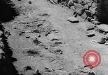 Image of massacre Algeria, 1957, second 24 stock footage video 65675071459