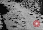 Image of massacre Algeria, 1957, second 25 stock footage video 65675071459