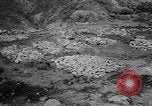 Image of massacre Algeria, 1957, second 40 stock footage video 65675071459