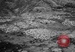Image of massacre Algeria, 1957, second 41 stock footage video 65675071459
