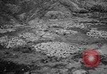 Image of massacre Algeria, 1957, second 42 stock footage video 65675071459