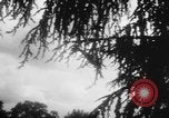 Image of helicopters Washington DC USA, 1957, second 12 stock footage video 65675071460