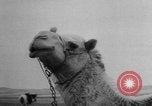 Image of new farm machinery Israel, 1957, second 22 stock footage video 65675071461