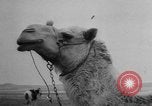 Image of new farm machinery Israel, 1957, second 24 stock footage video 65675071461