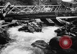 Immagine di Alewives Maine United States USA, 1957, secondo 5 filmato di repertorio 65675071463