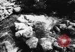 Immagine di Alewives Maine United States USA, 1957, secondo 7 filmato di repertorio 65675071463