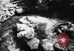 Immagine di Alewives Maine United States USA, 1957, secondo 8 filmato di repertorio 65675071463