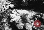 Immagine di Alewives Maine United States USA, 1957, secondo 9 filmato di repertorio 65675071463