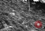Immagine di Alewives Maine United States USA, 1957, secondo 11 filmato di repertorio 65675071463