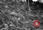 Immagine di Alewives Maine United States USA, 1957, secondo 12 filmato di repertorio 65675071463