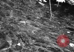 Immagine di Alewives Maine United States USA, 1957, secondo 13 filmato di repertorio 65675071463