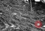 Immagine di Alewives Maine United States USA, 1957, secondo 14 filmato di repertorio 65675071463