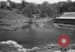 Immagine di Alewives Maine United States USA, 1957, secondo 19 filmato di repertorio 65675071463