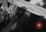 Immagine di Alewives Maine United States USA, 1957, secondo 23 filmato di repertorio 65675071463