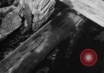 Immagine di Alewives Maine United States USA, 1957, secondo 24 filmato di repertorio 65675071463