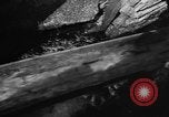 Immagine di Alewives Maine United States USA, 1957, secondo 27 filmato di repertorio 65675071463