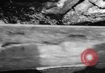 Immagine di Alewives Maine United States USA, 1957, secondo 28 filmato di repertorio 65675071463
