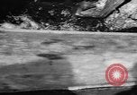 Immagine di Alewives Maine United States USA, 1957, secondo 29 filmato di repertorio 65675071463