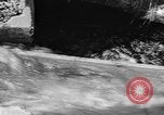 Immagine di Alewives Maine United States USA, 1957, secondo 33 filmato di repertorio 65675071463