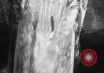 Immagine di Alewives Maine United States USA, 1957, secondo 36 filmato di repertorio 65675071463