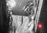 Immagine di Alewives Maine United States USA, 1957, secondo 37 filmato di repertorio 65675071463